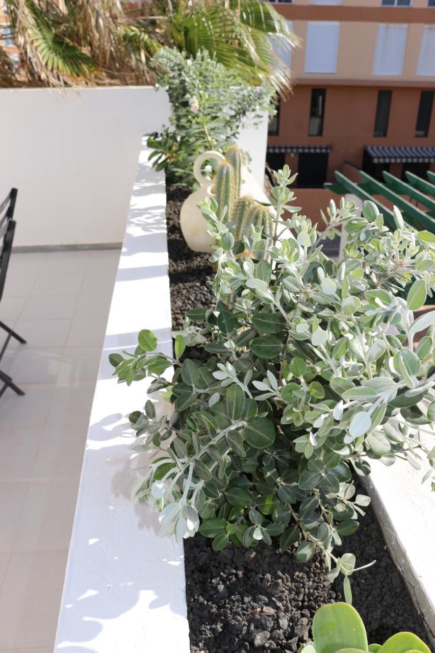Bungalow Balancon Duplex 厄尔梅达诺 外观 照片